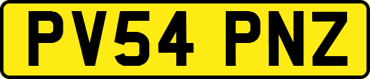 PV54PNZ