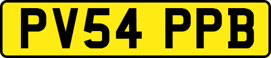 PV54PPB