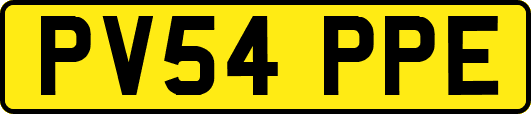 PV54PPE