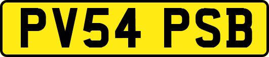 PV54PSB