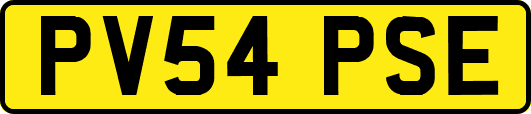 PV54PSE
