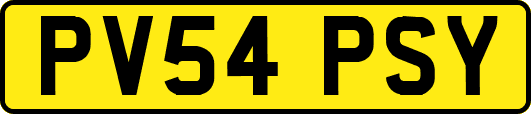 PV54PSY