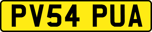 PV54PUA