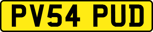 PV54PUD