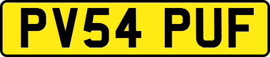 PV54PUF
