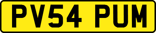 PV54PUM