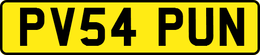 PV54PUN