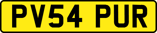 PV54PUR