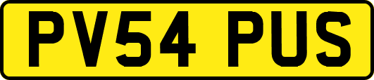 PV54PUS