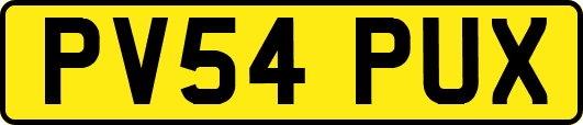 PV54PUX