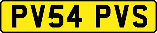 PV54PVS
