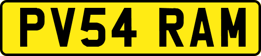PV54RAM