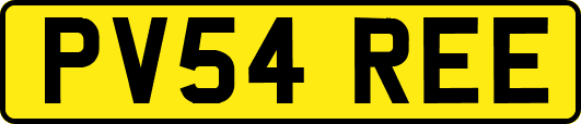 PV54REE
