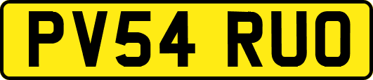 PV54RUO