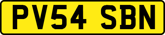 PV54SBN