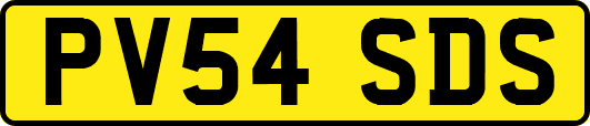 PV54SDS