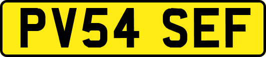 PV54SEF