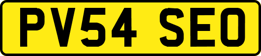 PV54SEO