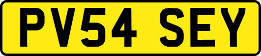 PV54SEY