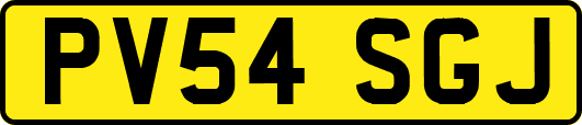 PV54SGJ