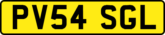 PV54SGL