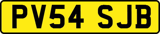 PV54SJB