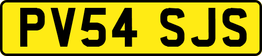 PV54SJS