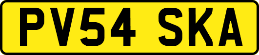 PV54SKA