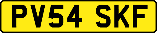 PV54SKF
