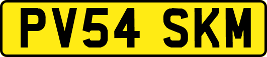 PV54SKM