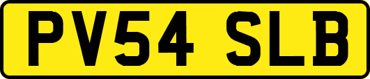 PV54SLB