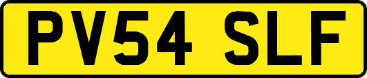 PV54SLF