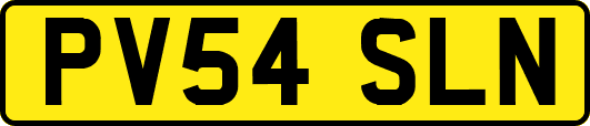 PV54SLN