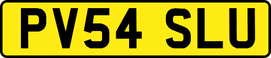 PV54SLU