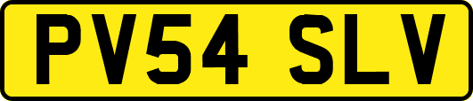 PV54SLV