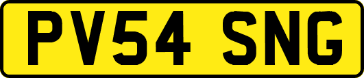 PV54SNG