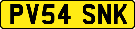 PV54SNK