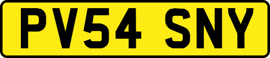 PV54SNY