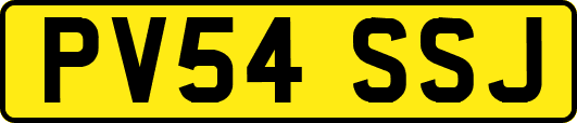 PV54SSJ