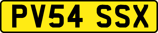 PV54SSX