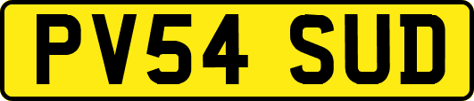 PV54SUD
