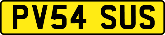 PV54SUS