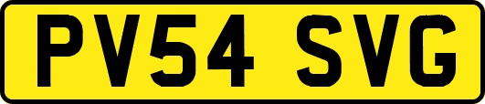 PV54SVG