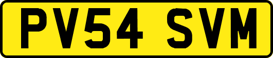 PV54SVM