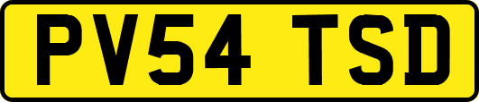 PV54TSD