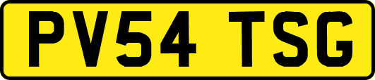 PV54TSG