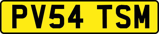 PV54TSM