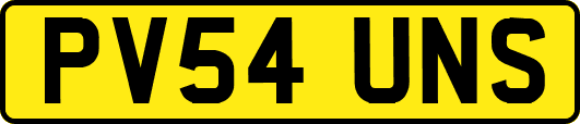 PV54UNS