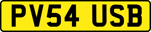 PV54USB
