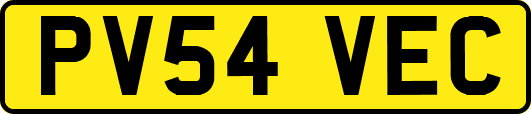 PV54VEC